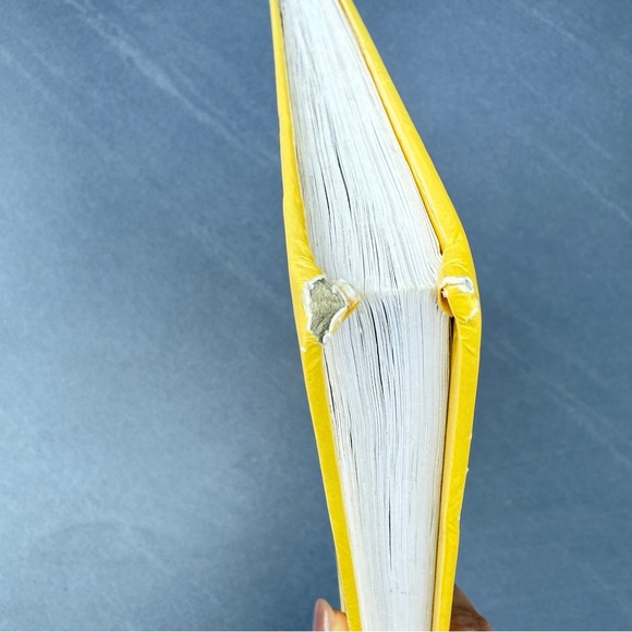 Storybook Treasury of Dick and Jane and Friends Vintage Anthology Lear to Read - Picture 7 of 12